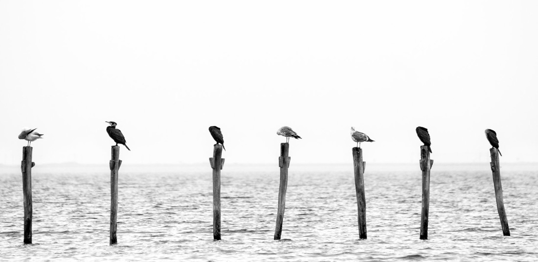 29789979_10216309623355660_5350992921069879296_o