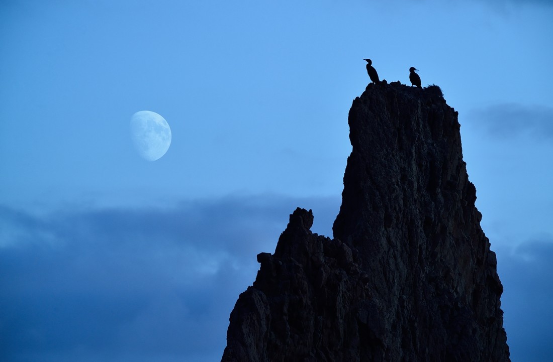 david-moya-nunez-concursoabrilaves