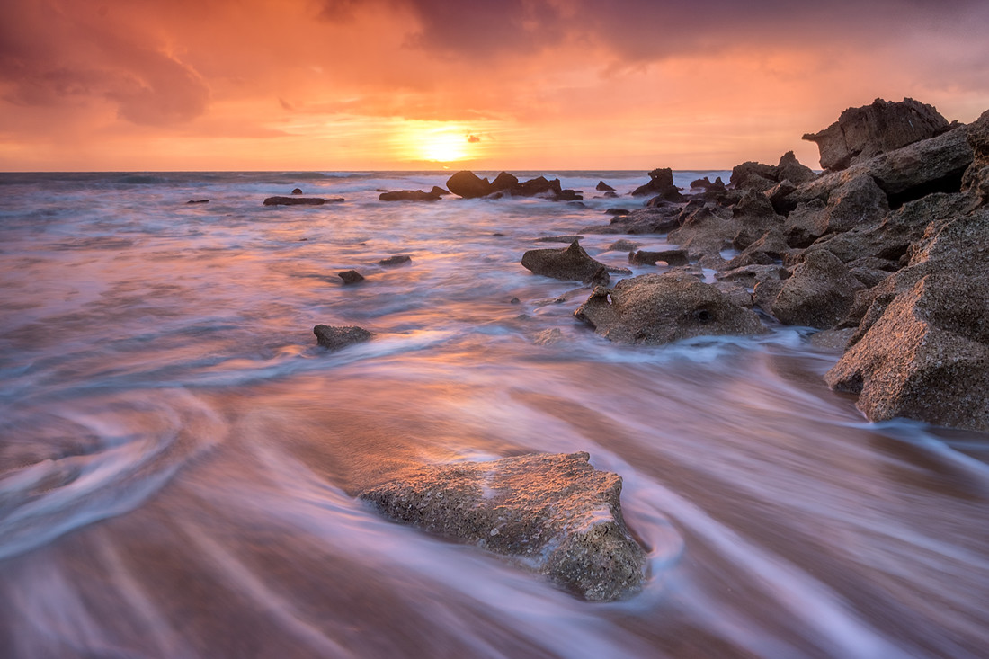 Agafona Agafona - Arturo_ConcursoMayoCostaCadiz