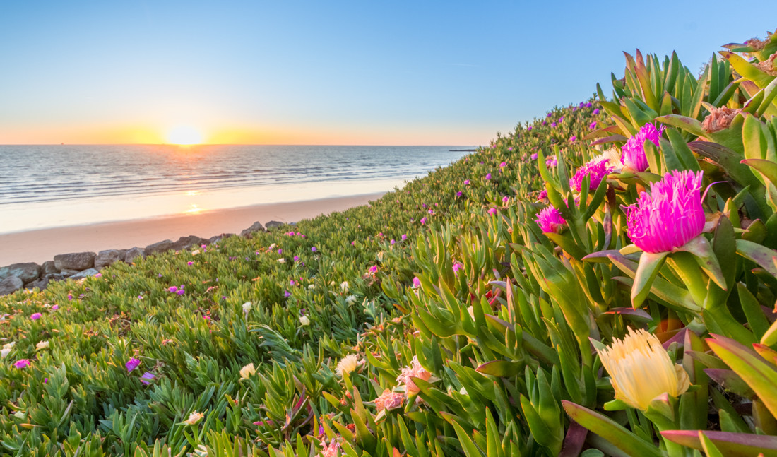 ANTONIO LOPEZ RODRIGUEZ - Antonio Lopez-concurso cosata de cadiz2