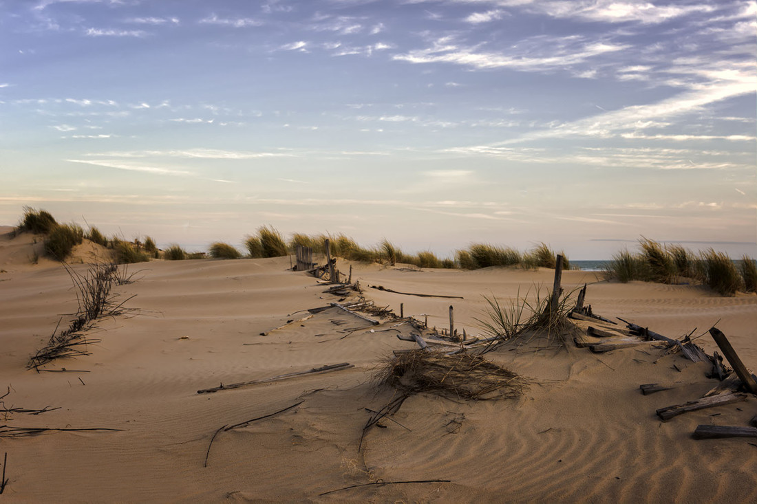 concha lacave - _DSC4127