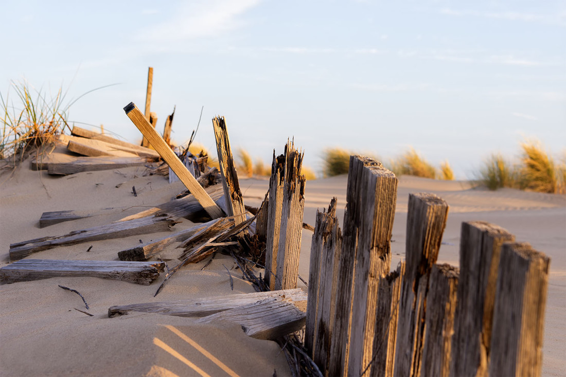 concha lacave  - _DSC4137