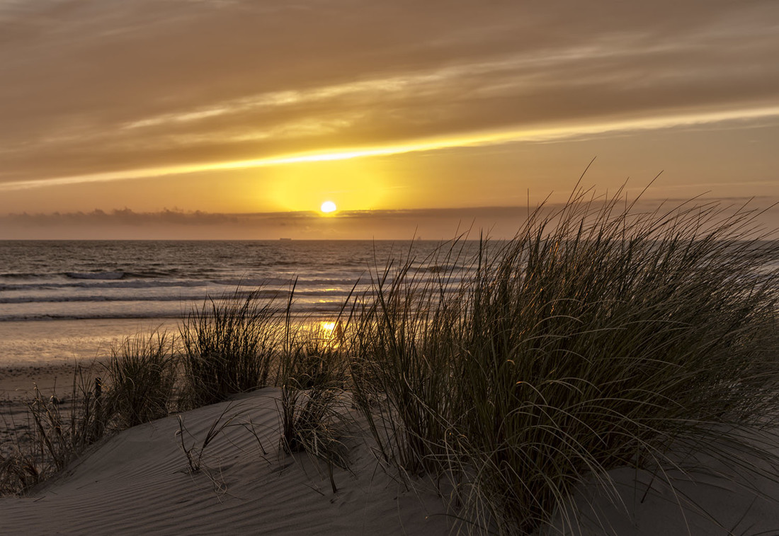 concha lacave - Dunas_ConcrusoCosta