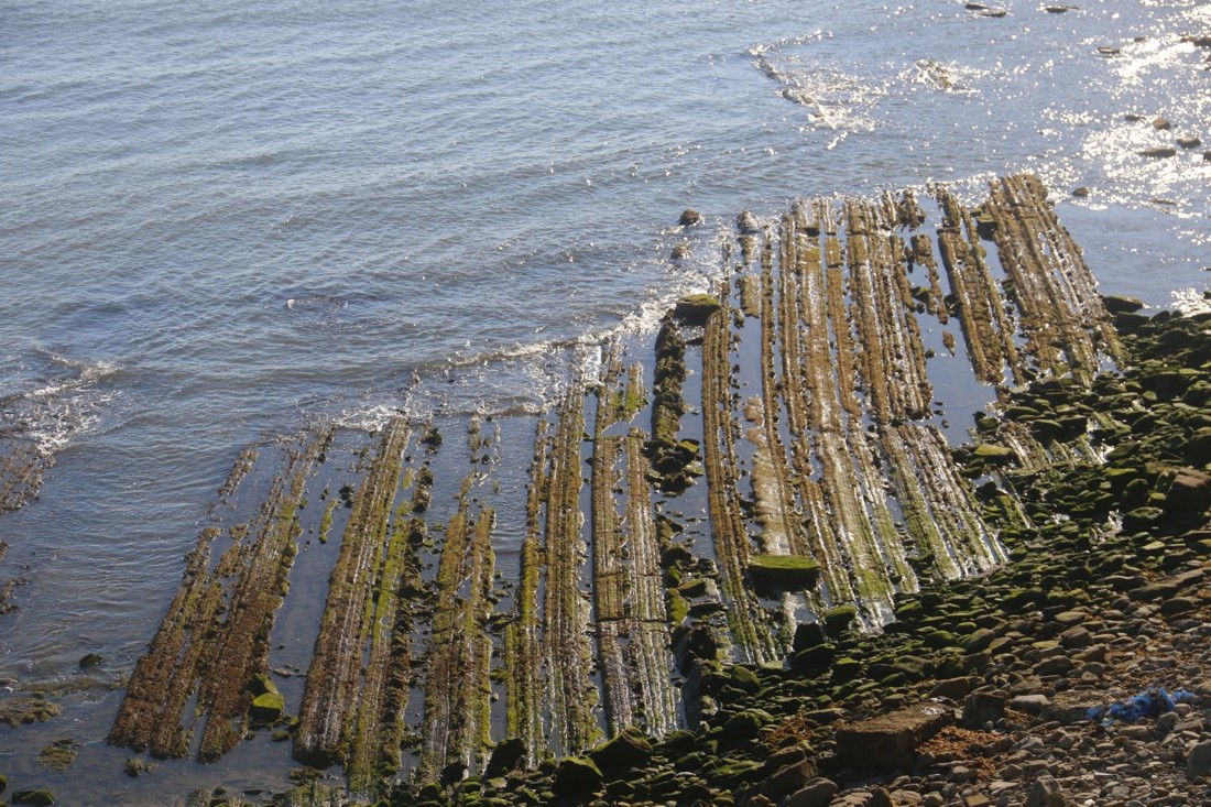 Gines Perez Soriano - Concurso Mayo Flysch
