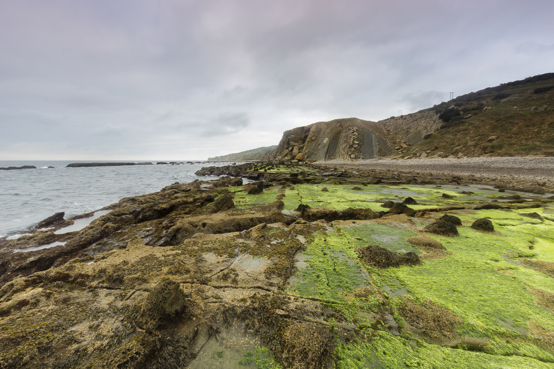 Javier Gazzo Rivas - Costas_Guadalmecí-3