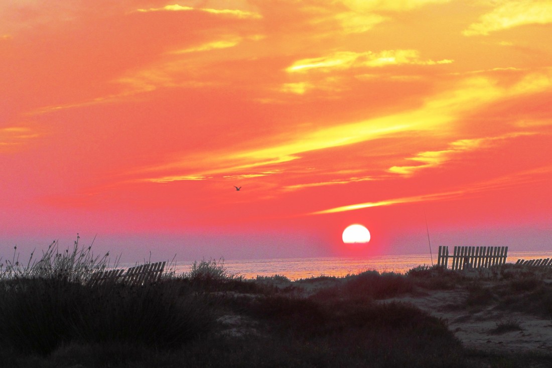 Mariano Maeztu - Paisaje... MarianoMaeztu_Parque Natural Bahía de Cádiz