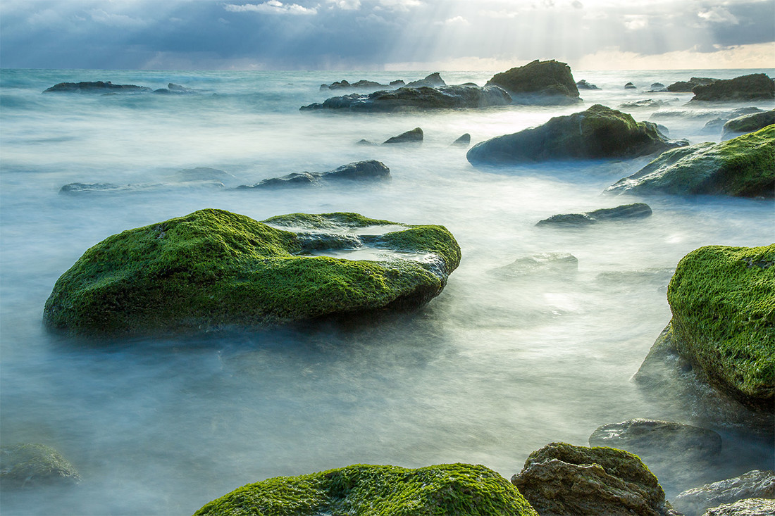 Mercedes Cuesta Mateo - MCuesta_ConcursoMayoCostaCadiz