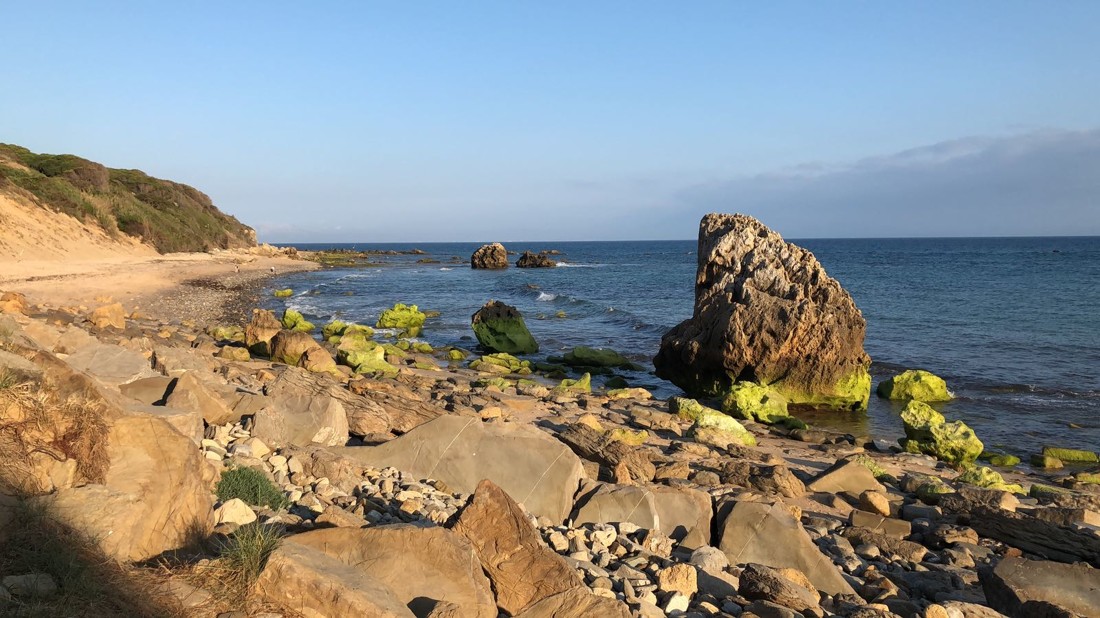 WhatsApp Image 2018-05-26 at 22.24.45 (1)