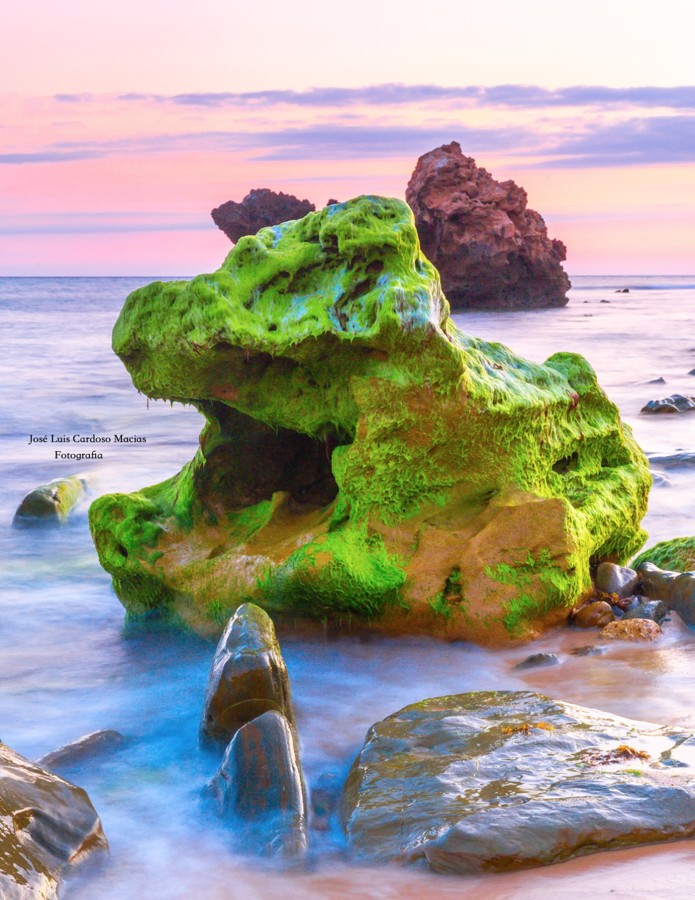 WhatsApp Image 2018-05-27 at 10.48.26