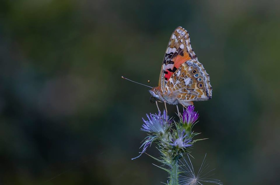 35438349_10216876515047598_3854106898978570240_n