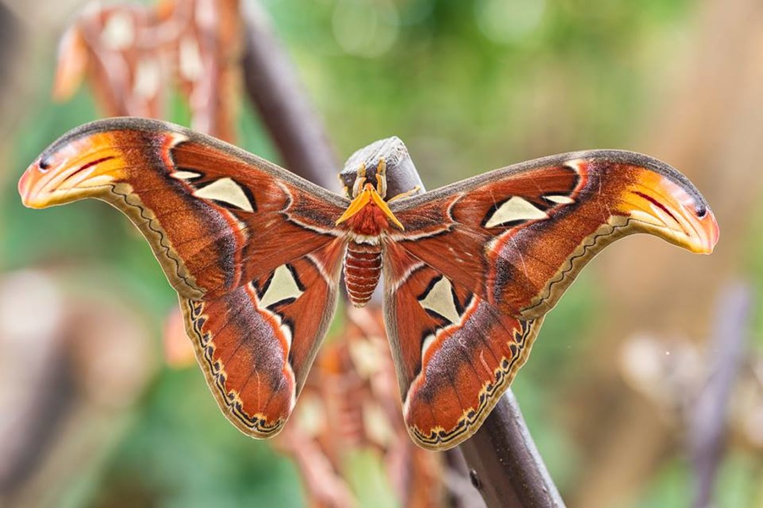 35461374_10216876517367656_6605885874225807360_n