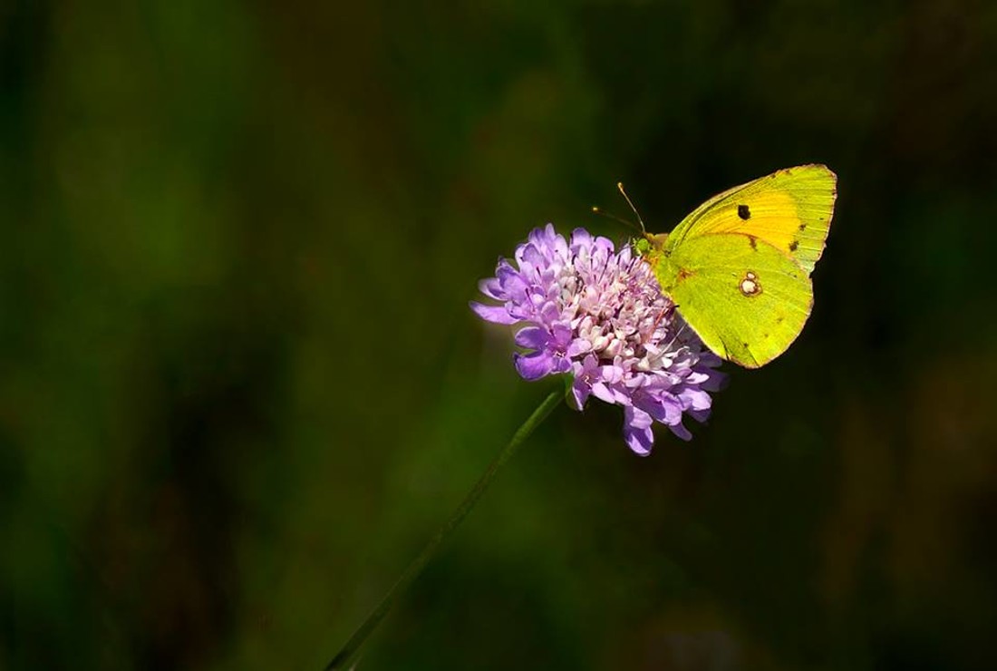 35464019_10216876521807767_4220678784279379968_n