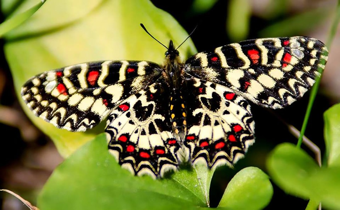 35471288_10216876514287579_7459893743978545152_n