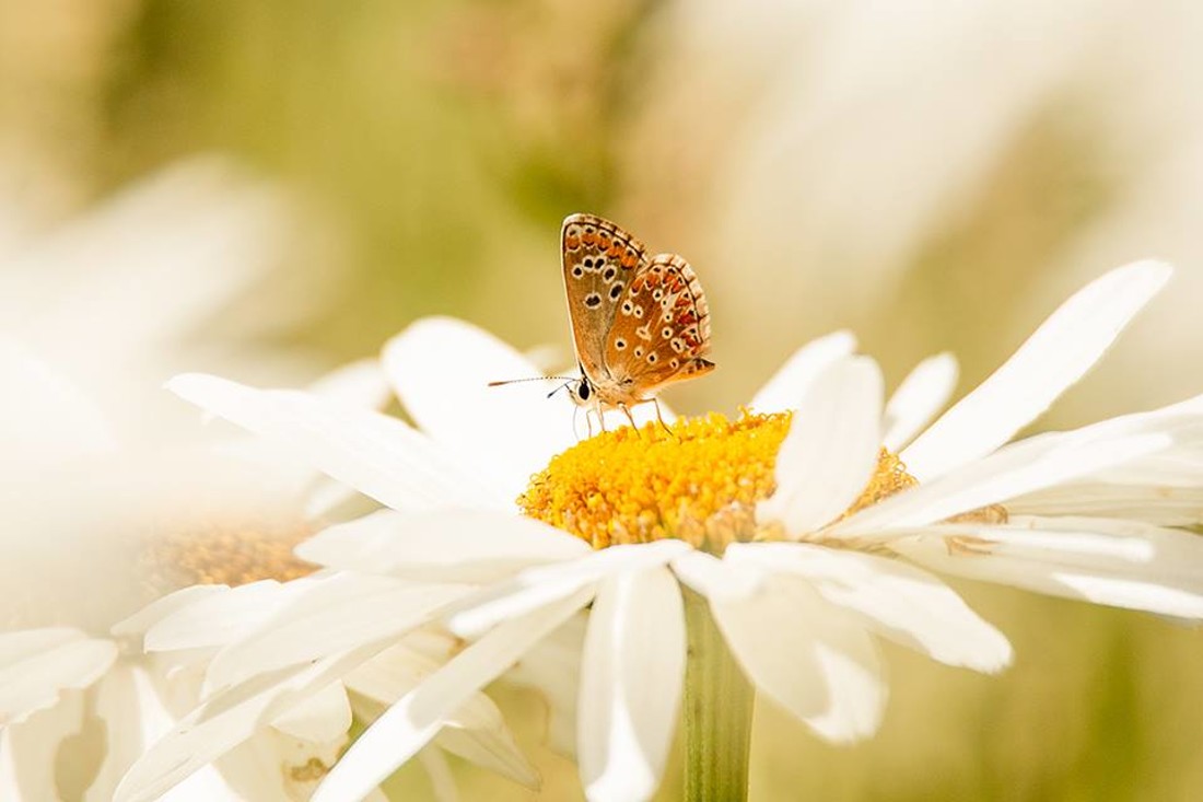 35473001_10216876518687689_3111351927871373312_n