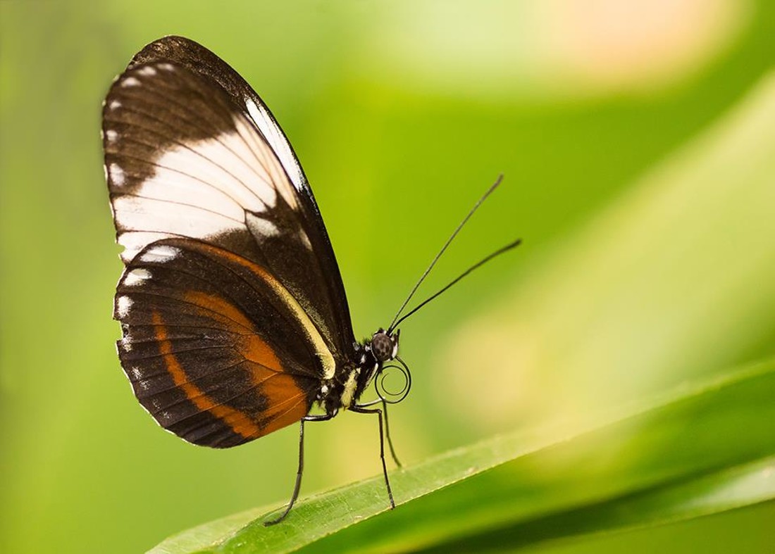 35480947_10216876522487784_937470929833820160_n