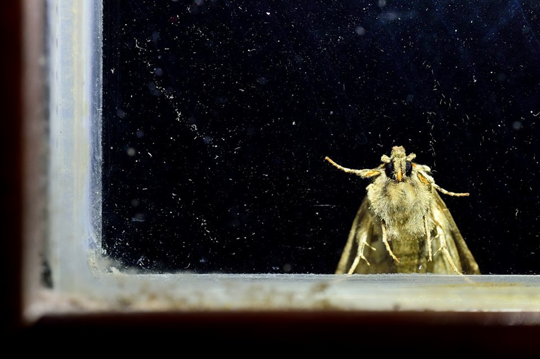 35515676_10216876523607812_3487272831694143488_n