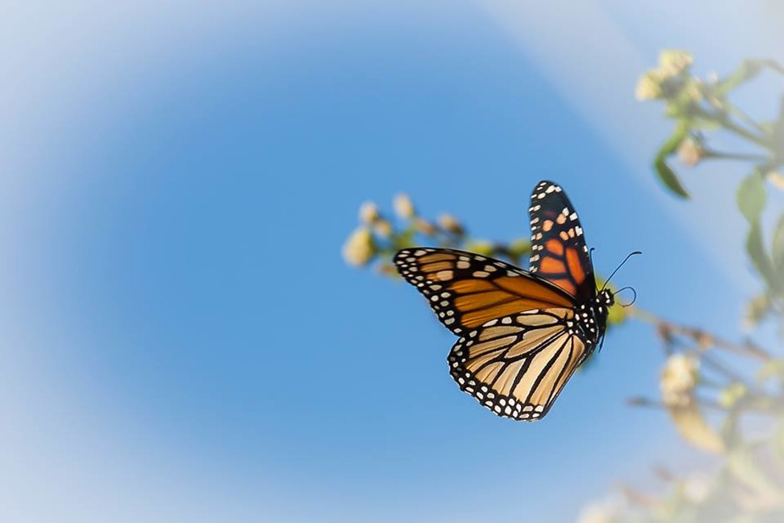 35521345_10216876515327605_6902842949613125632_n