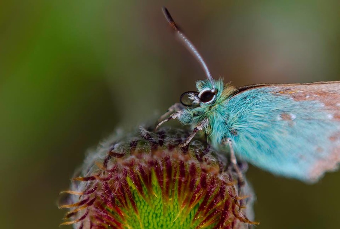 35531938_10216876520927745_6967464688246325248_n