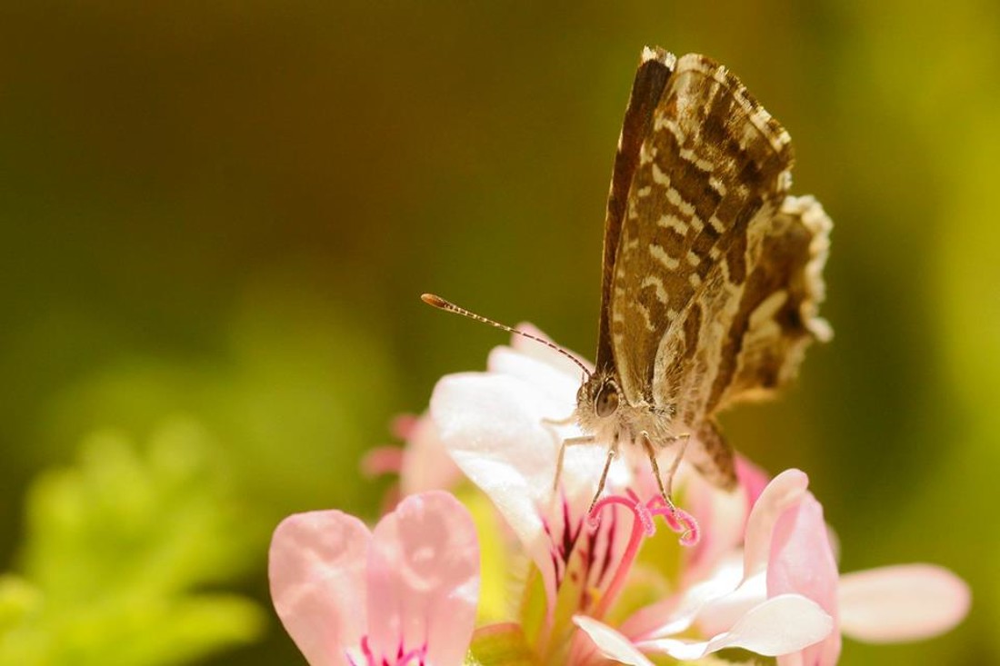 35643799_10216876524247828_6763314211083780096_n