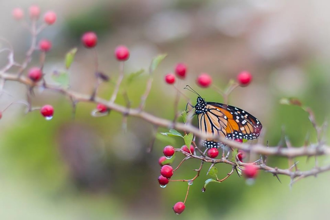 35645530_10216876517247653_5652918058142924800_n