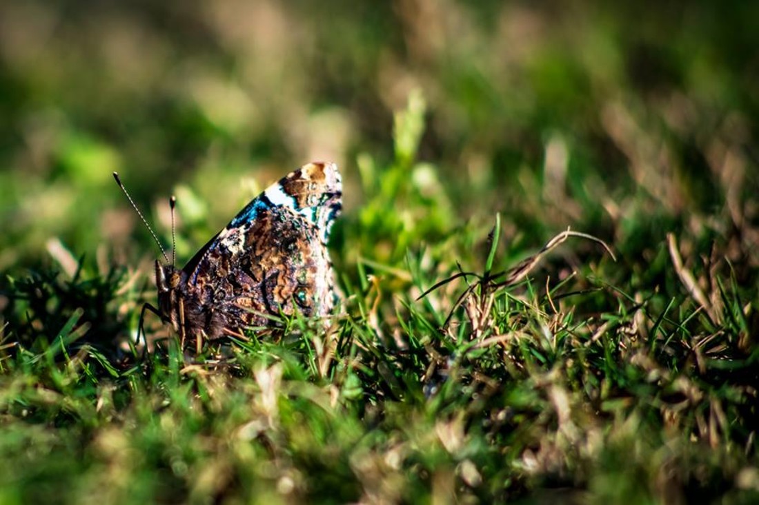 35646879_10216876522127775_1446761644918046720_n