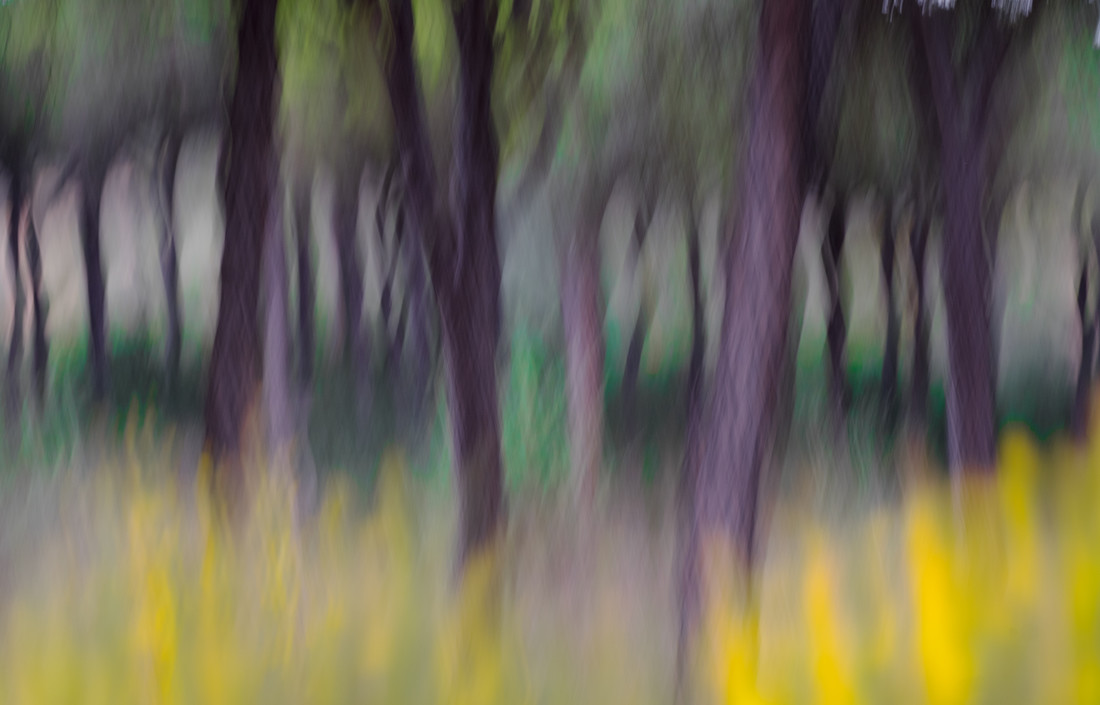 ArturoMontes_Agosto_ArteNaturaleza_2