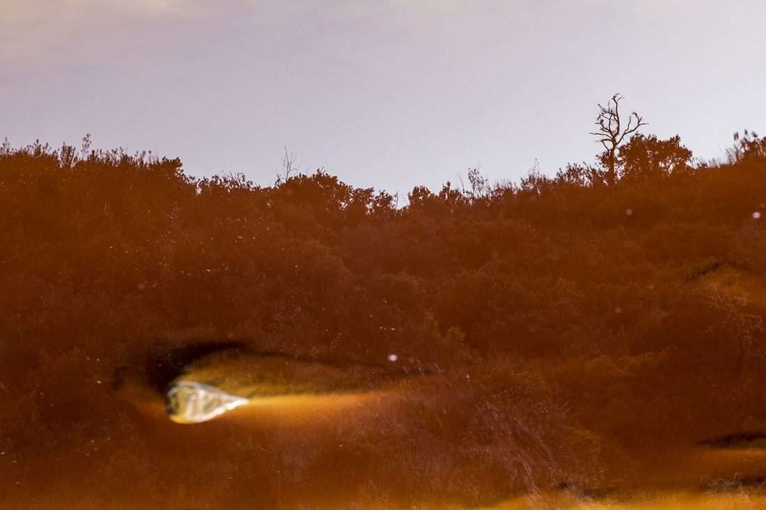 ArturoMontes_Agosto_ArteNaturaleza_3