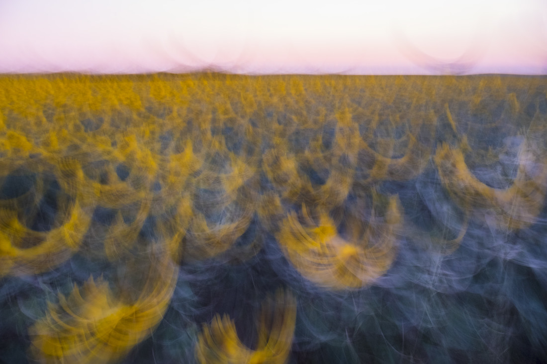 ArturoMontes_Agosto_ArteNaturaleza