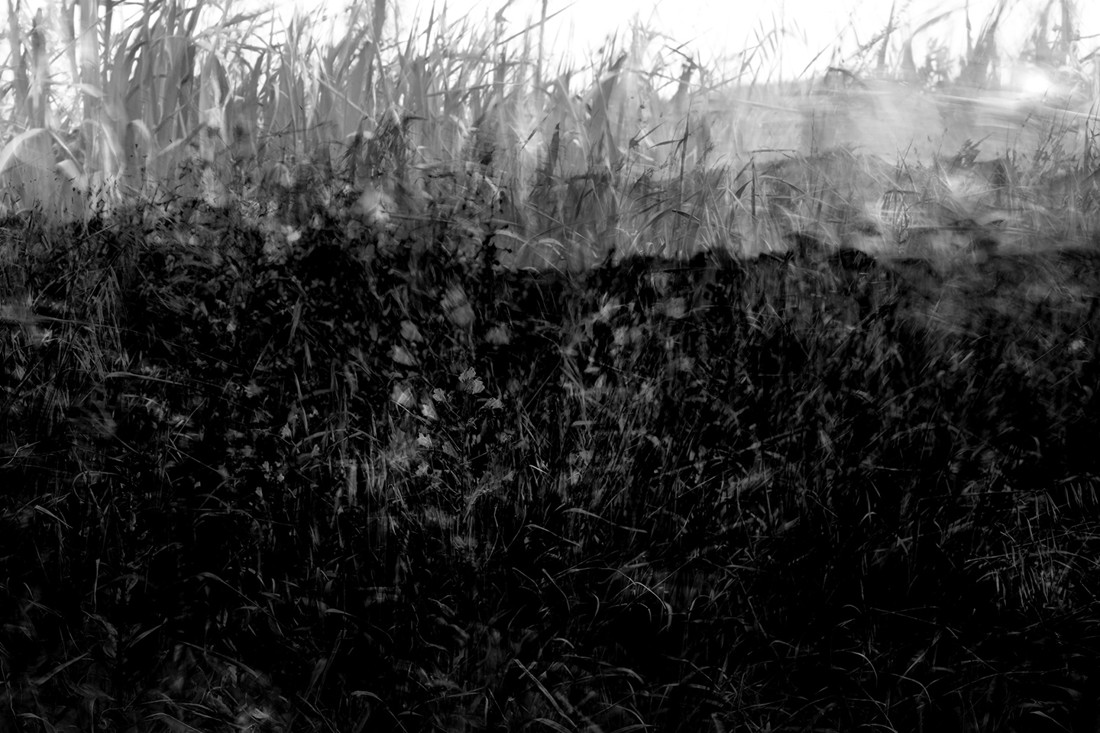 Dori Fern&aacute;ndez - Arte en la naturaleza