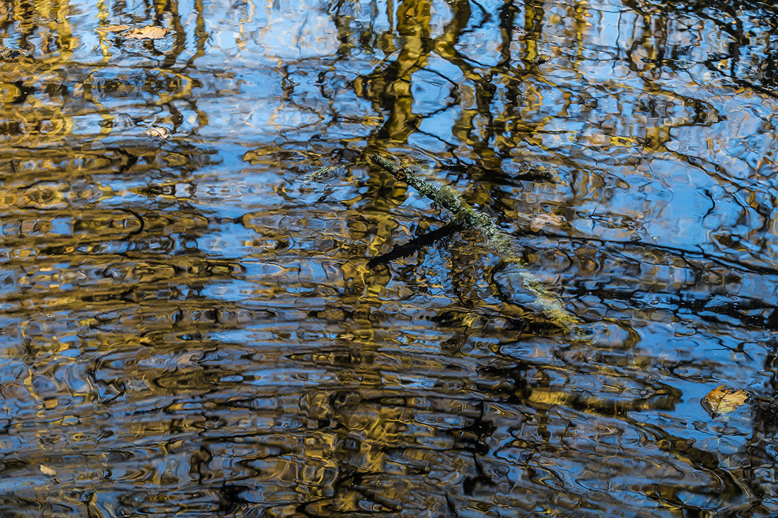 JOSE LUIS GARCIA - JOSE LUIS GARCIA - CONCURSO AGOSTO