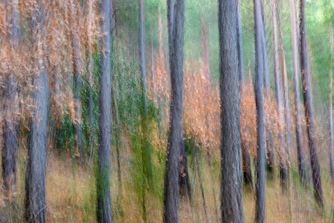 Manuel Perez Ruiz - Vista1