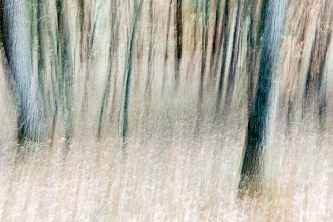 Manuel Perez Ruiz - Vista2