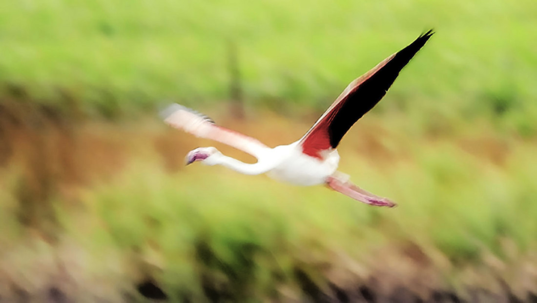 Manuel Su&aacute;rez. ConcursoAgosto