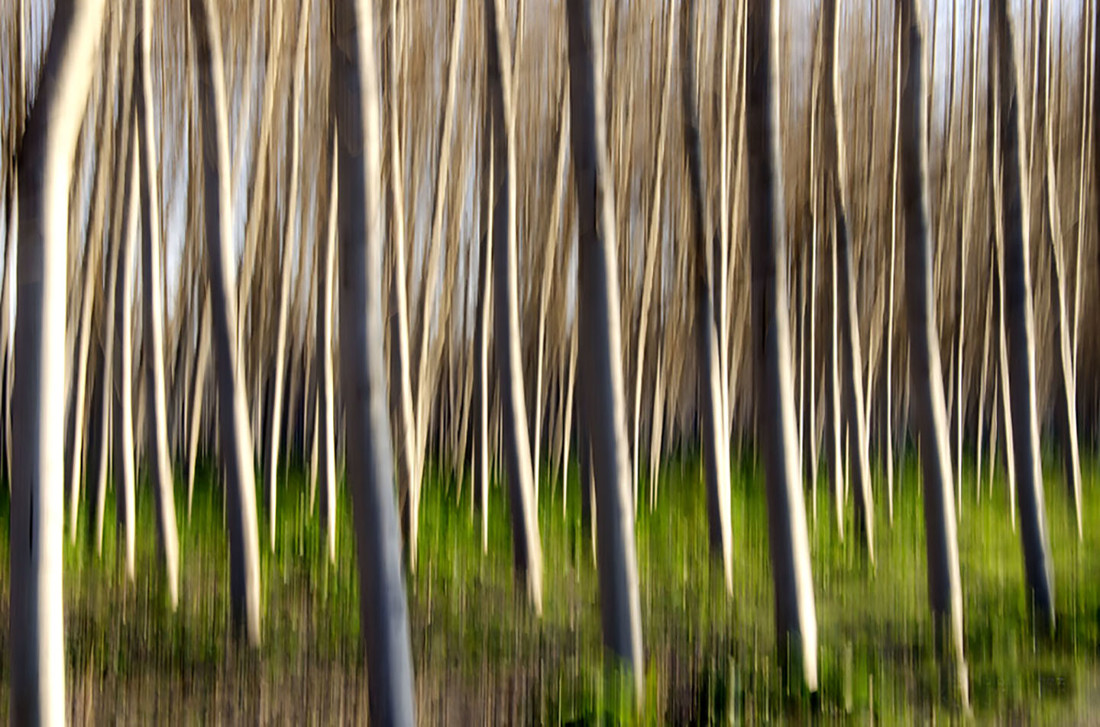 Manuel Su&aacute;rez. ConcursoAgosto.