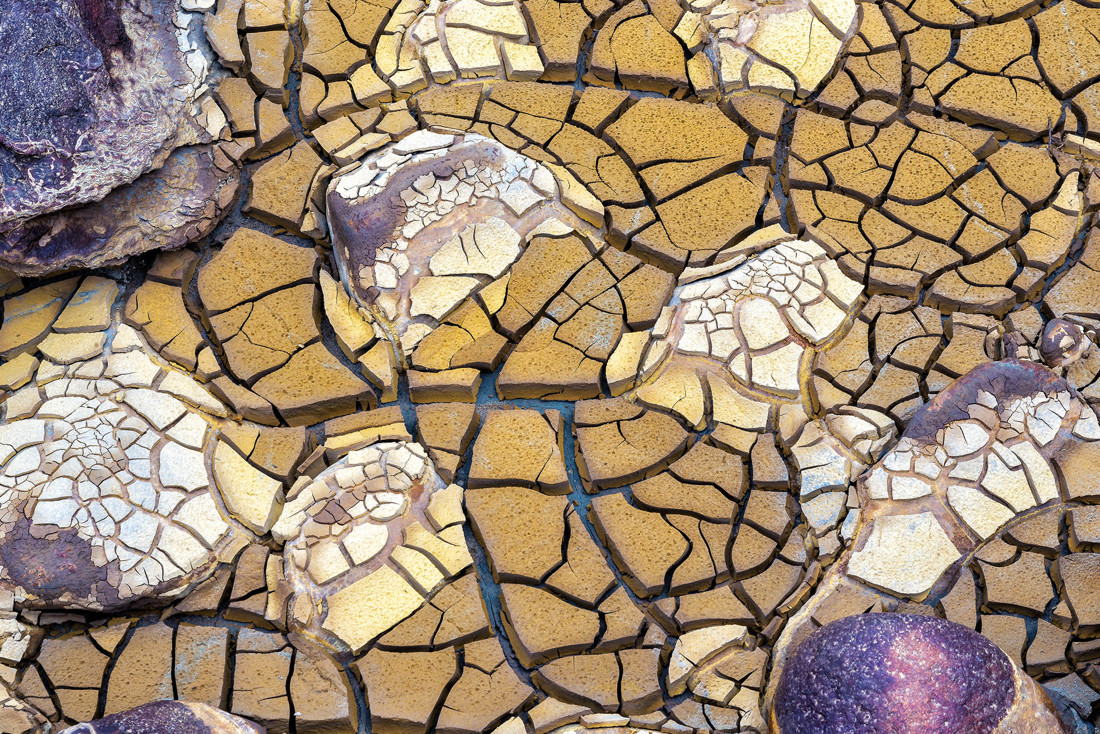 Pedro Mozos - Pedro Mozos NaturaAbstracta 