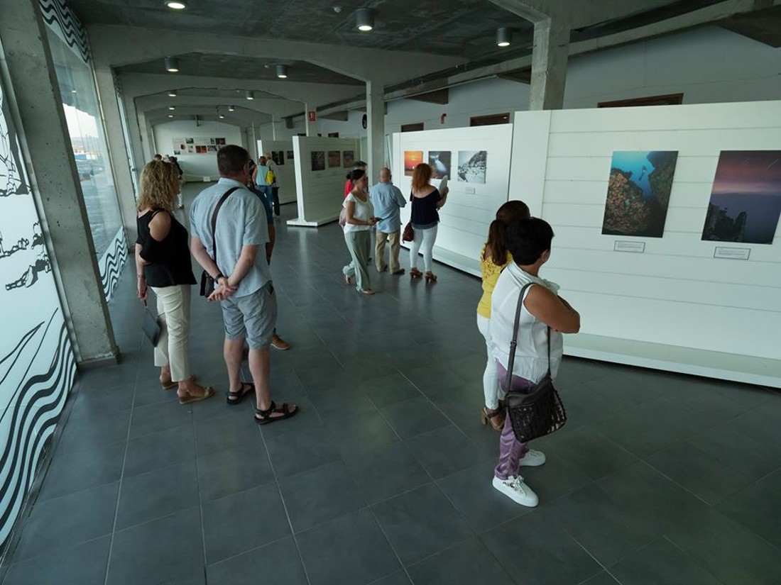 40475475_1144832695664208_560405284082679808_n