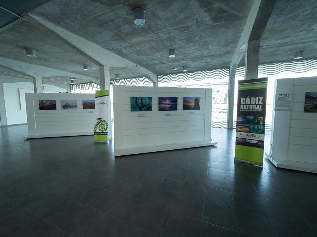 40530784_1144832492330895_420589469939269632_n