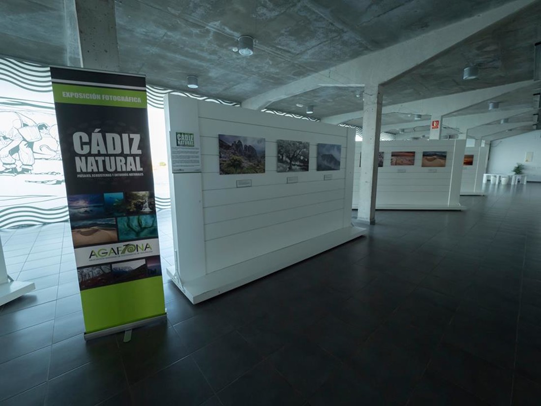 40590780_1144832485664229_1415559536441294848_n