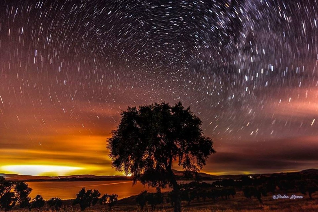 42625061_1858654127585551_4723295682826338304_n