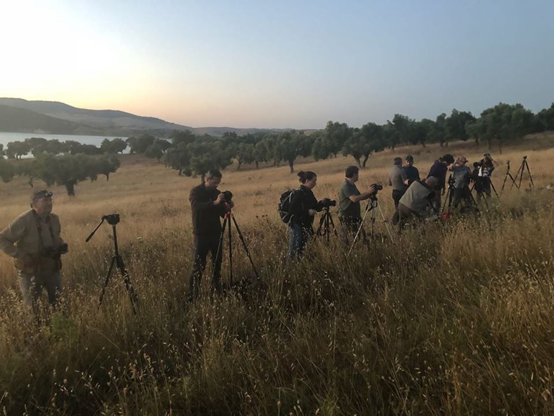 42634470_1858662240918073_8057021535312936960_n