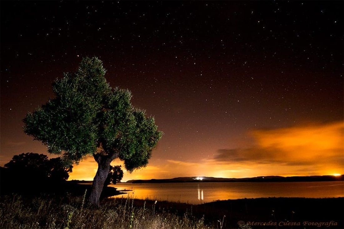 42639687_1858653454252285_5763532136237760512_n