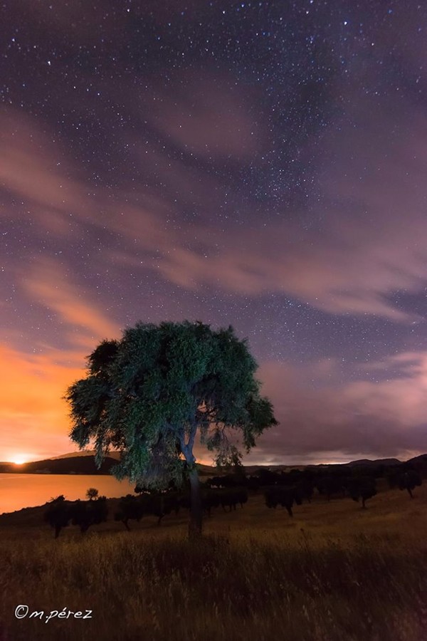 42648285_1858654907585473_3694527449225232384_n