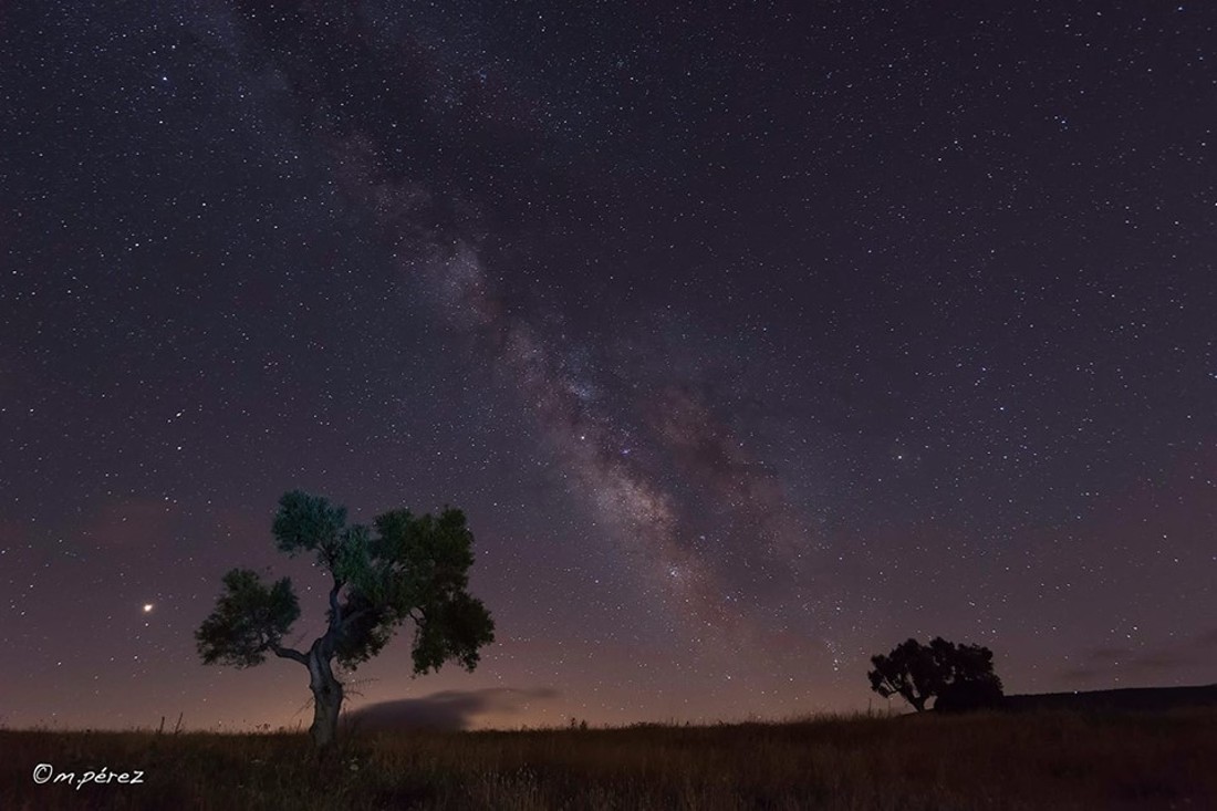 42696826_1858655220918775_8220712668927885312_n