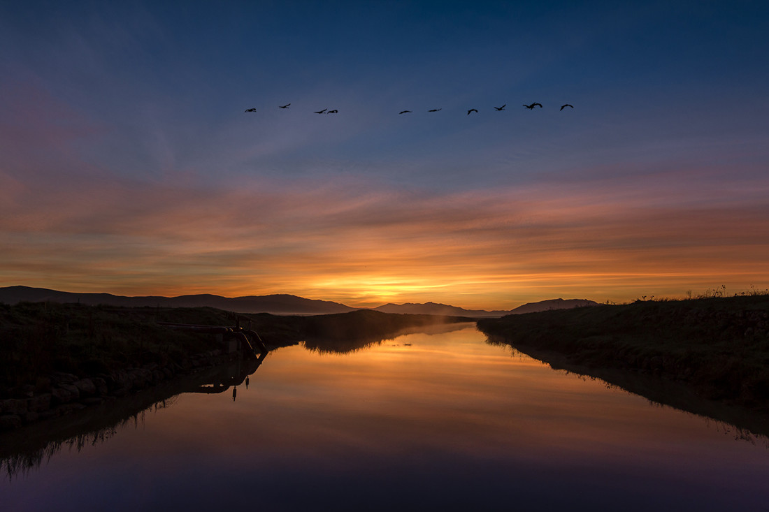Antonio Benítez Paz - Nocturnas_AntºBenítezPaz_GrullasLaJanda