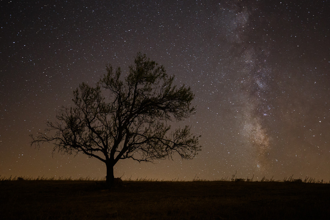 Javier Gazzo Rivas - Javier Gazzo-Concurso Nocturna-2