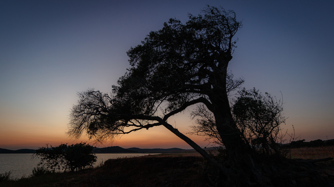 Manuel Ignacio Torres Lima - Nocturna01