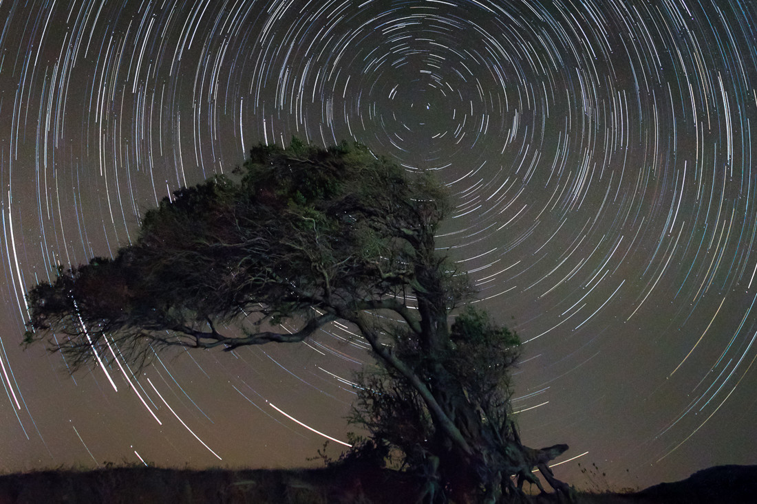 Manuel Ignacio Torres Lima - Nocturna05