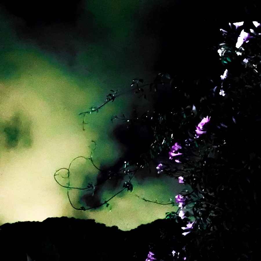 rocio maña perez - nocturna-octubre-rocio maña