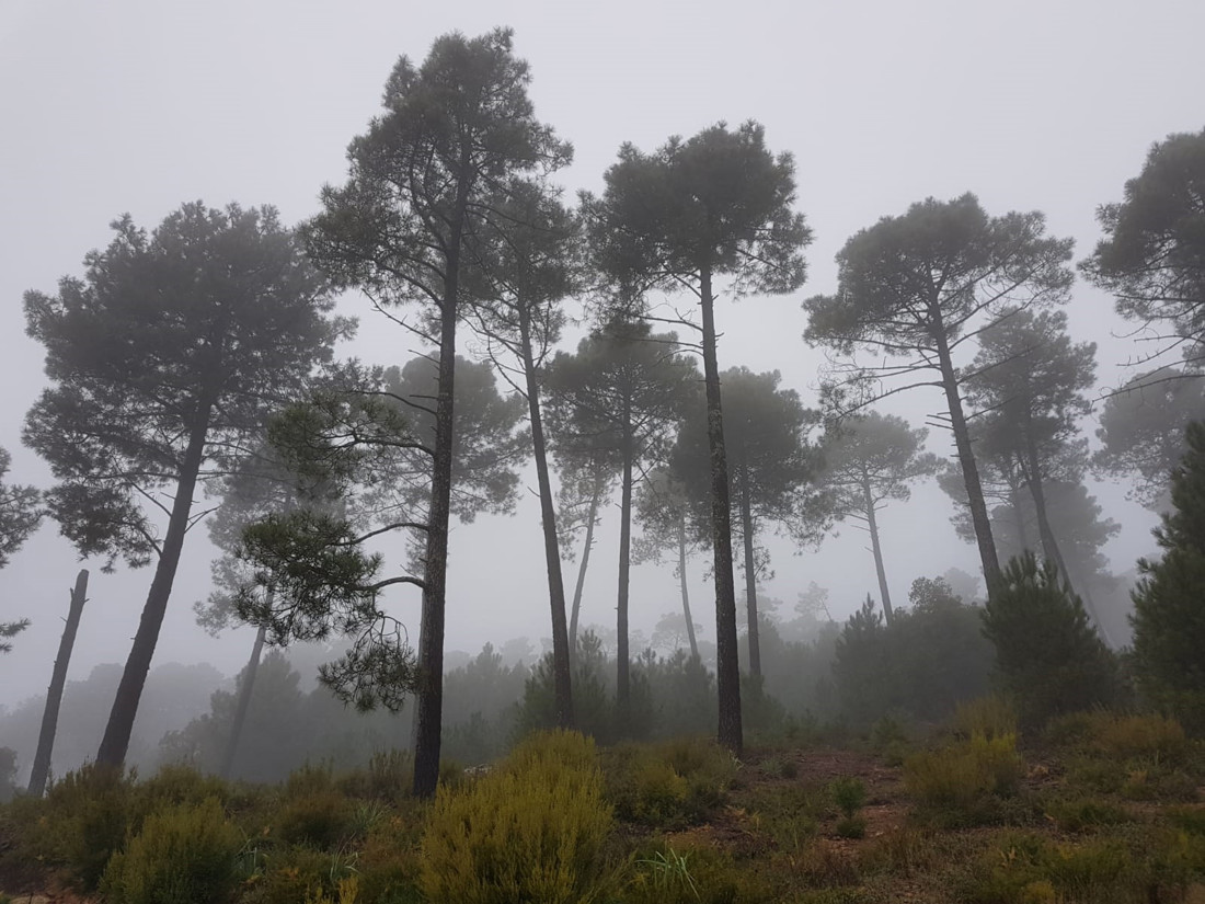 _3_Quejigal_Domingo_1