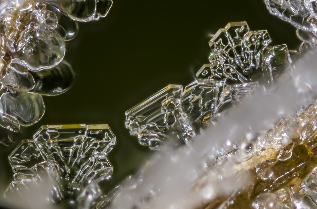 Antonio  Lopez - Antonio Lopez_concurso enero nieve en la naturaleza (3)